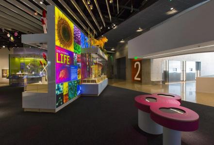 Hampton Inn Dallas-Irving-Las Colinas - 12