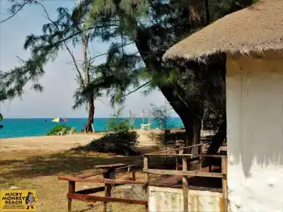 Micky Monkey Beach Phuket Maikhao Thailand - 8