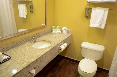 Holiday Inn Express & Suites Houston-Downtown Convention Center, An Ihg - 56