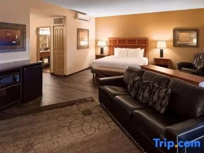 Best Western Plus - 115