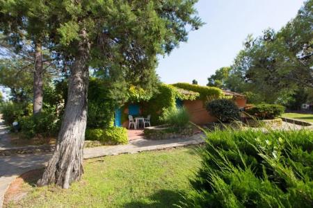 Agrustos Club - 23