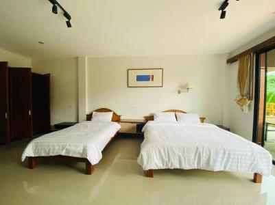 Damnoen Care - 35