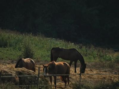 Agriturismo Montegonfoli - 52
