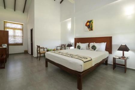 Camellia Resort and Spa - 52