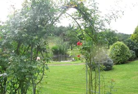-Gasthof Rose - 17