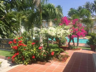 Areca Resort - 20