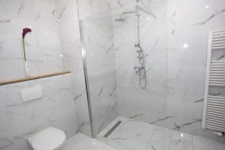 Zollikof Aparts - Sauna & Studio - 33