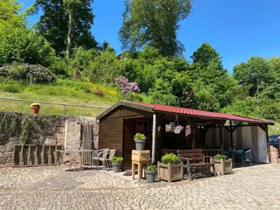 Pension Gelpkes Mühle - 11