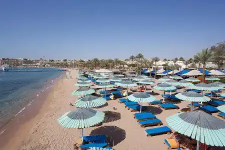 Red Sea Ghazala Gardens - 10