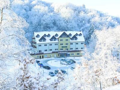 RegioSchanzenhaus Wernigerode - 10