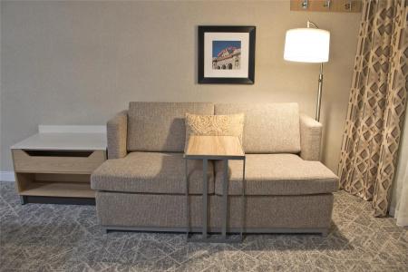 Hampton Inn & Suites Denver-Speer Boulevard - 42
