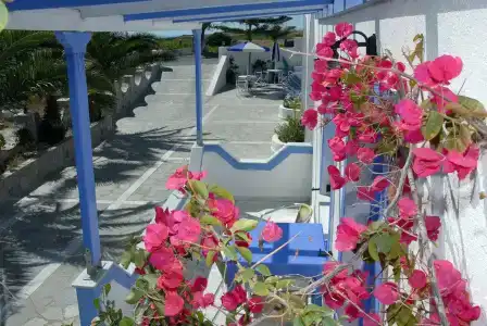 Stavros Villas - 15