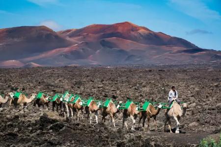 Relaxia Lanzasur Club - Aqualava Water Park - 44