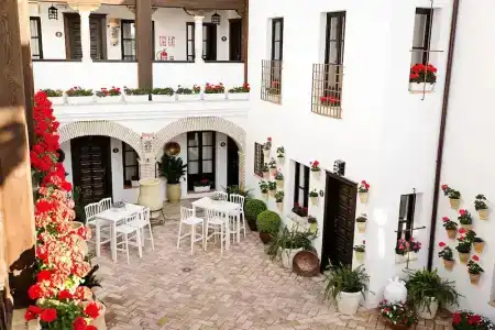 Suites La Posada De Pilar - 28