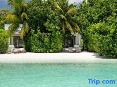 Dhigali Maldives - A Premium All-Inclusive Resort - 61