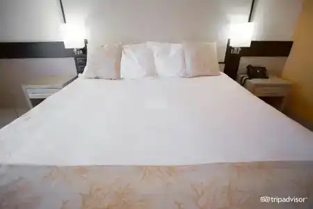GH Avalon Sikani - 50