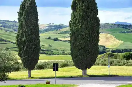 Agriturismo Barbi - 79