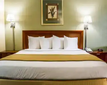Quality Inn Airport - Cruise Port - 44
