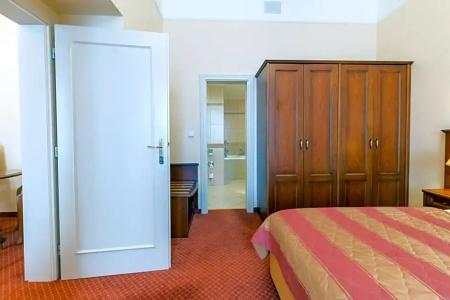 Ensana Centrální Lázně - Maria Spa - 93