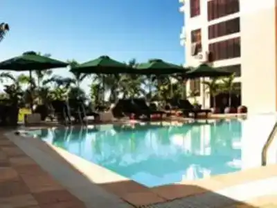 The Palm - 17