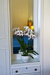 Villa Sarah - 26