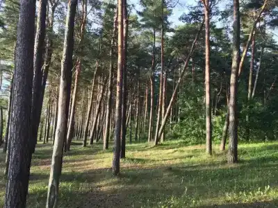 Pirita Beach  & Spa - 50