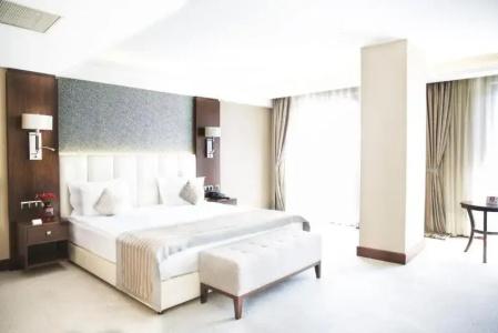 Grand Aras & Suites - 55