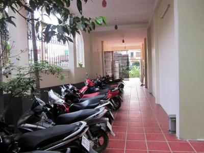 Sen Hai Phong - 6