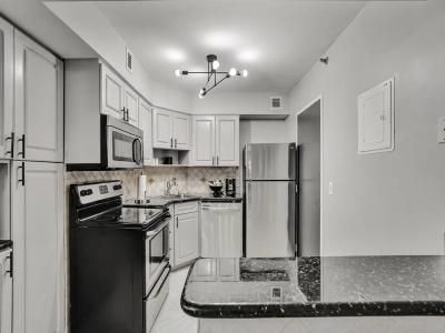 The Alexander All Suites - 497