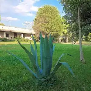 Masseria Le Pajare - 112