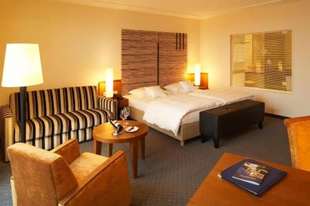 Best Western Plus Arosa - 116