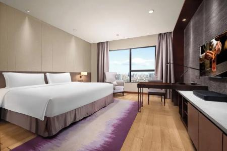 Ascott Raffles City - 67