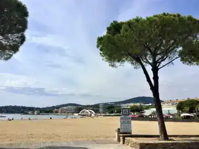Résidence Pierre & Vacances Les Platanes - 19