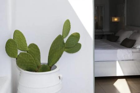 Pylaia Boutique & Spa - 342