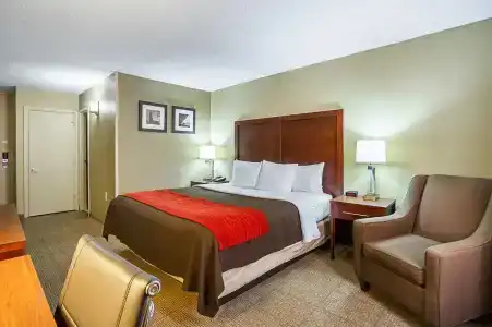 Comfort Inn Downtown - 27