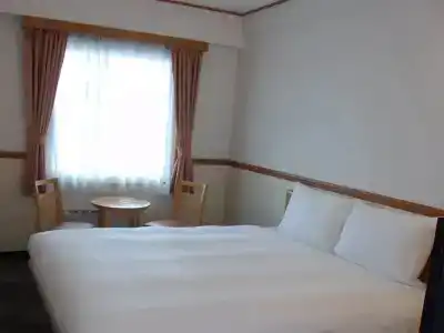 Toyoko Inn-eki Minamiguchi-migi - 30