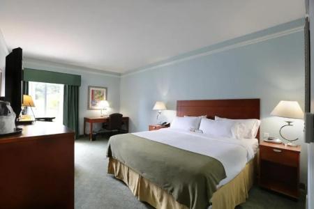 Holiday Inn Express North Telecom Park, An Ihg - 51