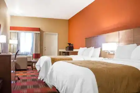 Comfort Inn Lucky Lane - 62