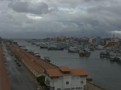 Dolphin Ras El-Bar - 40