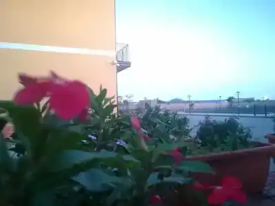 I Colori dell'Etna - 11