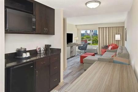 Hampton Inn Atlanta-Georgia Tech-Downtown - 74