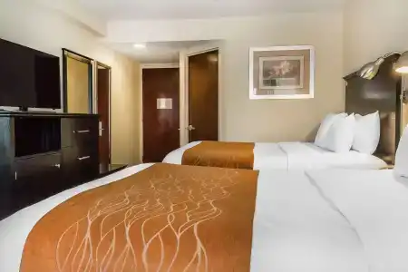Comfort Inn & Suites LaGuardia Airport - 4