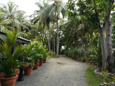 The Nature Park Villa - 12