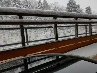 Shiobara Onsen Ryokan Kamiaizuya - 36