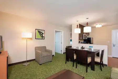 TownePlace Suites by Marriott South/Hamburg Place - 50