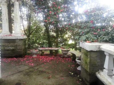 Evermore - 13