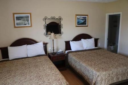 Falcon Inn - 79