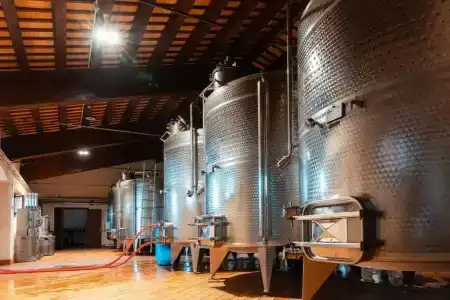 Agriturismo Baglio Donnafranca Wine Resort - 17