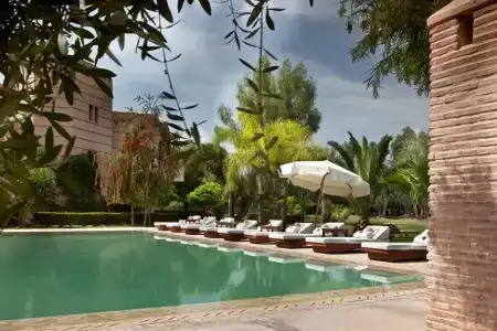 Al Assala Palmeraie - 21