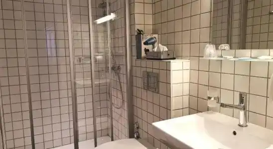 Hôtel du Raisin - 6